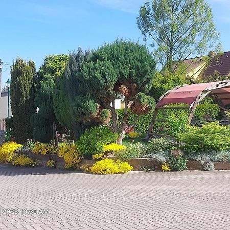 Ferienwohnung Bienwald Mit Pool Fuer 4 - 6 Personen Mit 3 Schlafzimmern Grobitz Exterior foto
