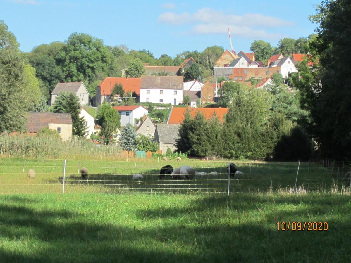 Ferienwohnung Bienwald Mit Pool Fuer 4 - 6 Personen Mit 3 Schlafzimmern Grobitz Exterior foto