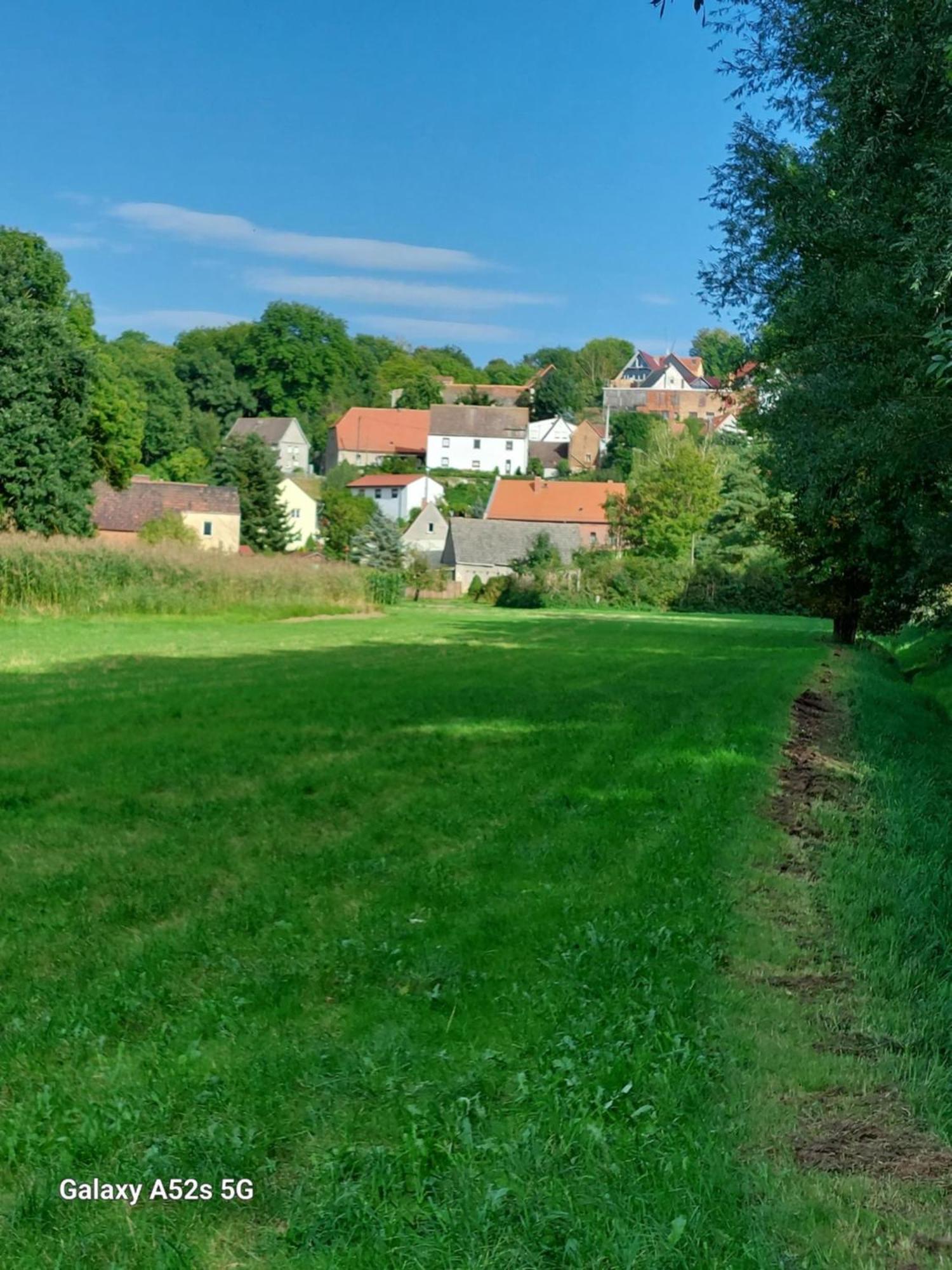 Ferienwohnung Bienwald Mit Pool Fuer 4 - 6 Personen Mit 3 Schlafzimmern Grobitz Exterior foto